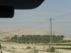 p1010579_ji