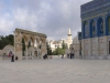 p1020351_ji