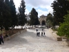 p1020419_ji